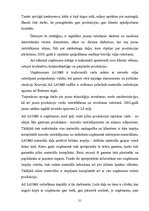 Referāts 'Ražošanas uzņēmuma struktūras pilnveidošana produkcijas izlaides organizēšana', 21.