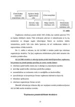 Referāts 'Ražošanas uzņēmuma struktūras pilnveidošana produkcijas izlaides organizēšana', 23.