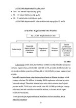 Referāts 'Ražošanas uzņēmuma struktūras pilnveidošana produkcijas izlaides organizēšana', 25.