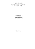 Konspekts 'Ievads politoloģijā', 1.