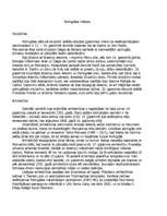 Konspekts 'Portugāles māksla', 1.