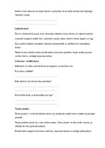 Paraugs 'Literatūra – lasīšana, izpratne un radošā domāšana', 4.
