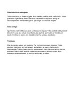 Konspekts 'Elīna Zālīte "Agrā rūsa”', 2.