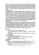 Referāts 'Fransisko de Goija', 2.