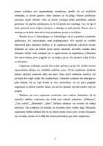 Biznesa plāns 'Biznesa plāns uzņēmumam "Elektika"', 8.