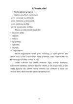 Biznesa plāns 'Biznesa plāns uzņēmumam "Elektika"', 13.