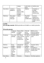 Prakses atskaite 'Pirmsskolas skolotāja pedagoģiskā prakse', 9.