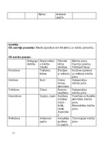 Prakses atskaite 'Pirmsskolas skolotāja pedagoģiskā prakse', 11.