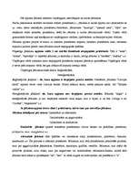 Referāts 'Jēdziena apjoma iedalīšana', 3.