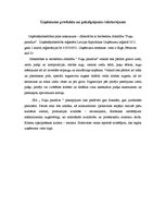 Referāts 'Sabiedrības ar ierobežoto atbildību "Puķu Paradīze" mārketinga analīze un darbīb', 3.