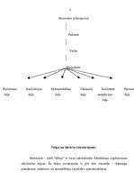 Biznesa plāns 'Atpūtas centrs "Efeja"', 6.