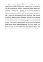 Referāts 'Administratīvo sodu veidi un to piemērošana', 29.