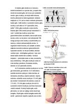 Konspekts 'Cilvēka ģenētika', 2.