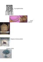 Konspekts 'Mezglošana', 3.