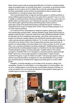 Konspekts 'Mezglošana', 5.