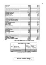Biznesa plāns 'Parādu piedziņas uzņēmums SIA "Debts"', 19.