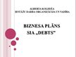 Biznesa plāns 'Parādu piedziņas uzņēmums SIA "Debts"', 24.