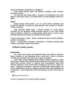 Konspekts 'Tiesību pamati', 15.