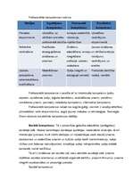 Konspekts 'Kompetences struktūra', 2.