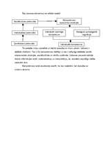 Konspekts 'Kompetences struktūra', 4.