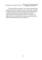 Diplomdarbs 'Latvijas vadošo banku attīstības prognozēšanas veikšana un a/s "Swedbank" finanš', 33.