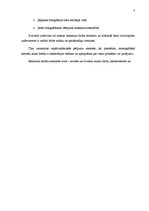 Diplomdarbs 'Fotogrāfija kā komunikācijas un vēstījuma līdzeklis', 4.