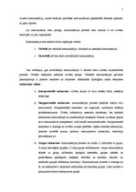 Diplomdarbs 'Fotogrāfija kā komunikācijas un vēstījuma līdzeklis', 7.