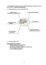 Referāts 'Dabai draudzīga energoražotne', 5.