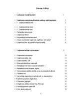 Prakses atskaite 'Prakses pārskats SIA "XXX"', 2.