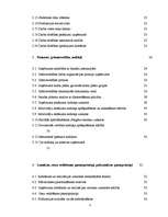 Prakses atskaite 'Prakses pārskats SIA "XXX"', 3.