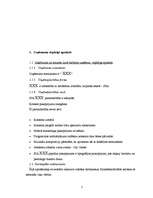 Prakses atskaite 'Prakses pārskats SIA "XXX"', 5.