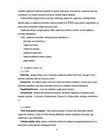 Prakses atskaite 'Prakses pārskats SIA "XXX"', 15.