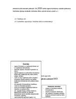 Prakses atskaite 'Prakses pārskats SIA "XXX"', 20.