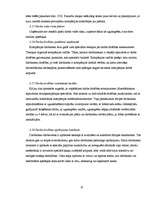 Prakses atskaite 'Prakses pārskats SIA "XXX"', 25.