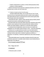 Prakses atskaite 'Prakses pārskats SIA "XXX"', 27.