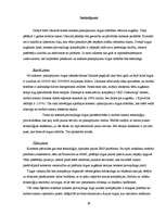 Prakses atskaite 'Prakses pārskats SIA "XXX"', 39.