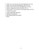 Prakses atskaite 'Prakses pārskats SIA "XXX"', 41.