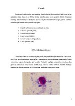 Konspekts 'Bruceloze', 3.