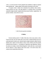 Konspekts 'Bruceloze', 6.