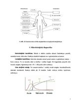 Konspekts 'Bruceloze', 7.