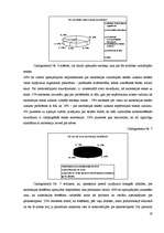 Referāts 'Gremošanas traucējumu un pašvērtējuma saistība meitenēm jauniešu vecumposmā', 19.