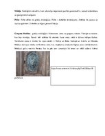 Konspekts 'Sengrieķu mitoloģija', 8.