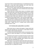 Referāts 'Maksātnespējas procesa stāvokļa risinājumi, to piemērošana un raksturojums', 12.