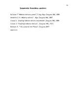 Referāts 'Māksla dažādos laika posmos', 34.