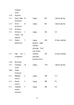 Biznesa plāns 'Project Development and Management "Innovative Umbrella"', 9.