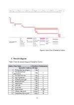 Biznesa plāns 'Project Development and Management "Innovative Umbrella"', 12.
