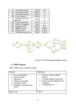 Biznesa plāns 'Project Development and Management "Innovative Umbrella"', 13.