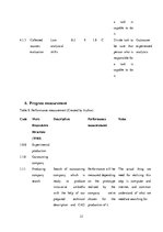 Biznesa plāns 'Project Development and Management "Innovative Umbrella"', 21.