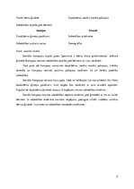 Referāts 'Sociālā mārketinga kampaņa "Daudzbērnu ģimene nav negods" izstrāde', 5.