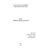 Referāts 'Juridiskās tipizācijas paņēmieni', 1.